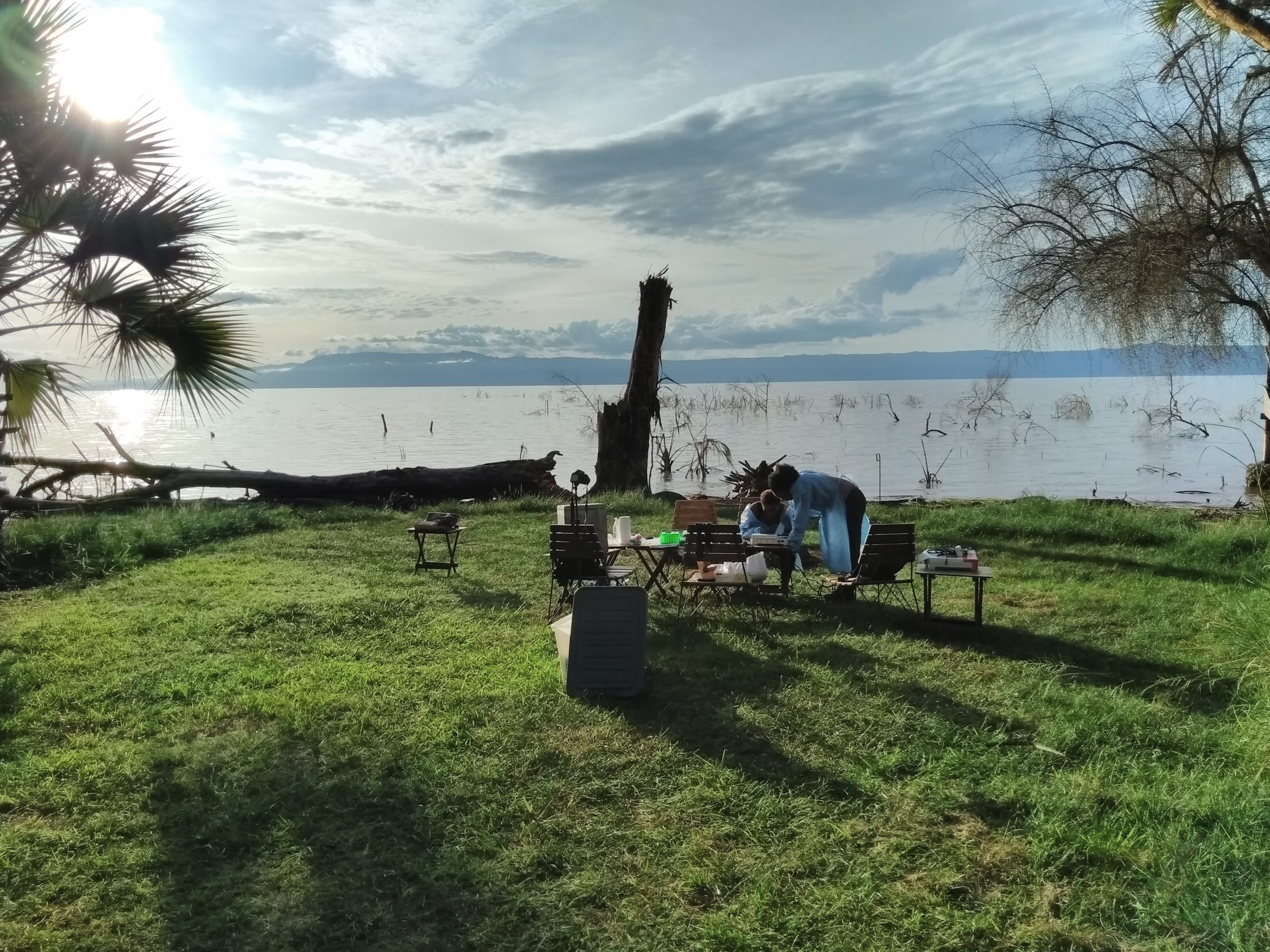 Aquaculture AMR sequencing at Lake Eyasi, Tanzania. Copyright: Marco van Zwetselaar CC BY-SA 4.0