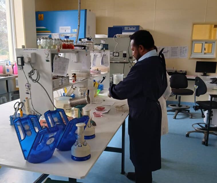 Mount Hagen Microsection, Fleming Fund-supported surveillance site (credit: Burnet Institute).