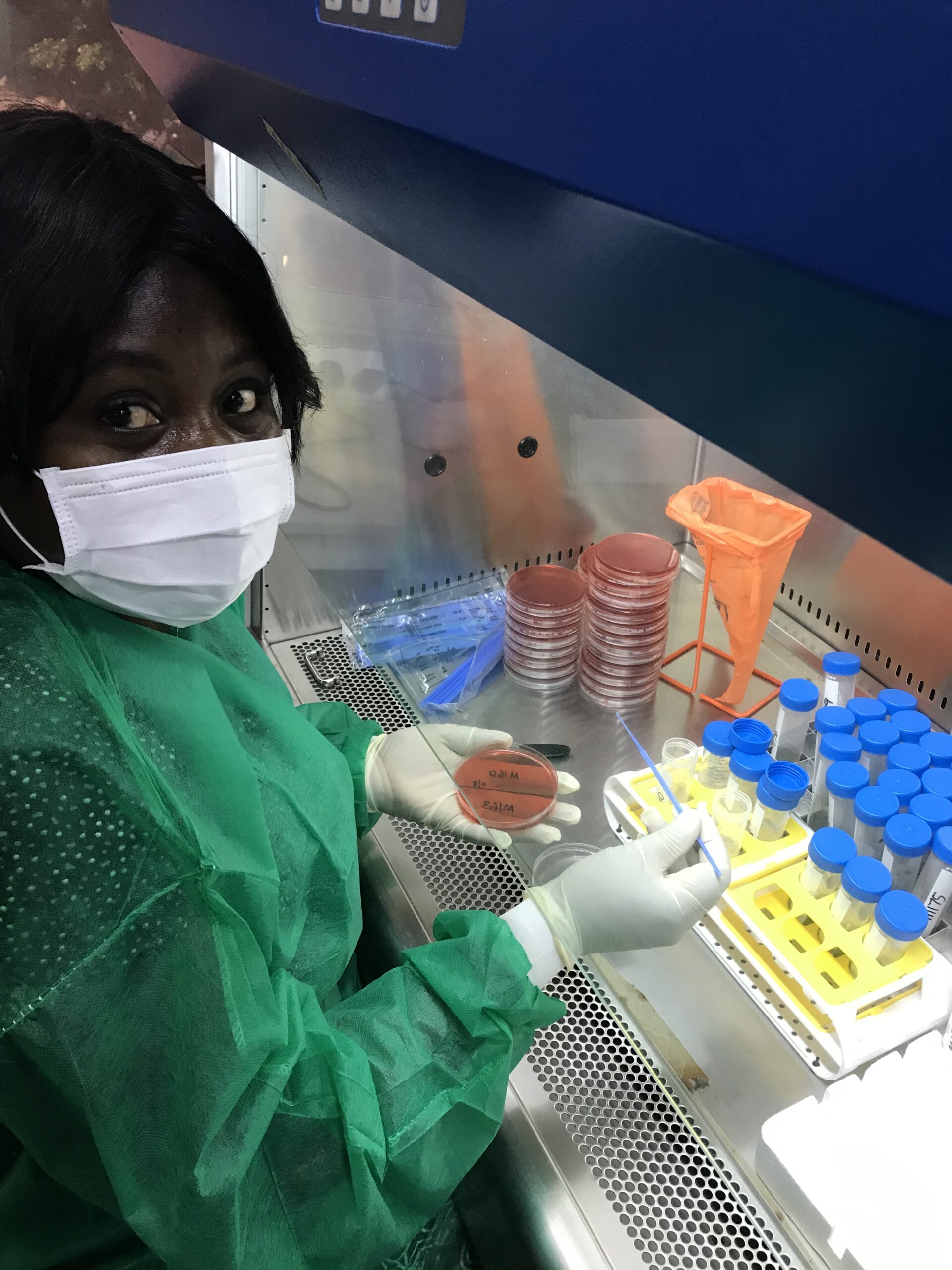 Mabel analyzing samples for bacteria culture and identification at the National Reference Laboratory, NCDC, Gaduwa, Abuja in Nigeria.