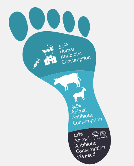 Antibiotic Footprint Analysis in Pakistan Fleming Fund Report.
