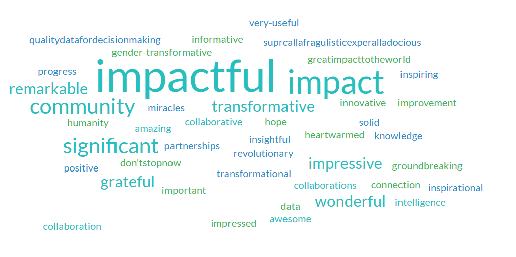 Participants of the first day were asked to sum up the achievements of the Fleming Fund in one word.