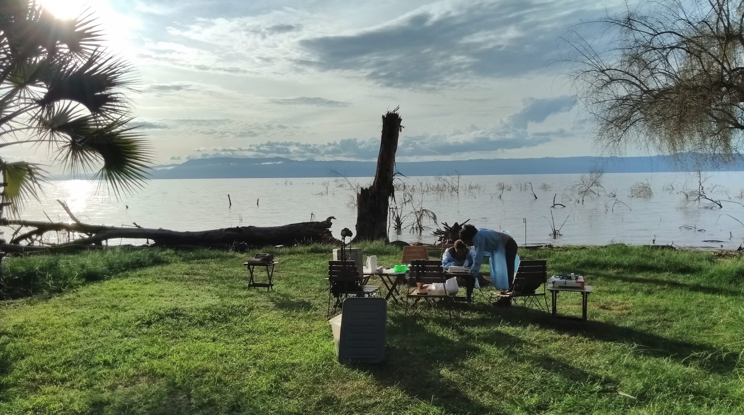 Aquaculture AMR sequencing at Lake Eyasi, Tanzania. Copyright: Marco van Zwetselaar CC BY-SA 4.0