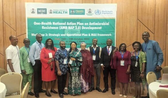 Fleming Fellow, Mwapu Ndahi (third, right), with planning committee members of National Action Plan 2.0 for Nigeria.